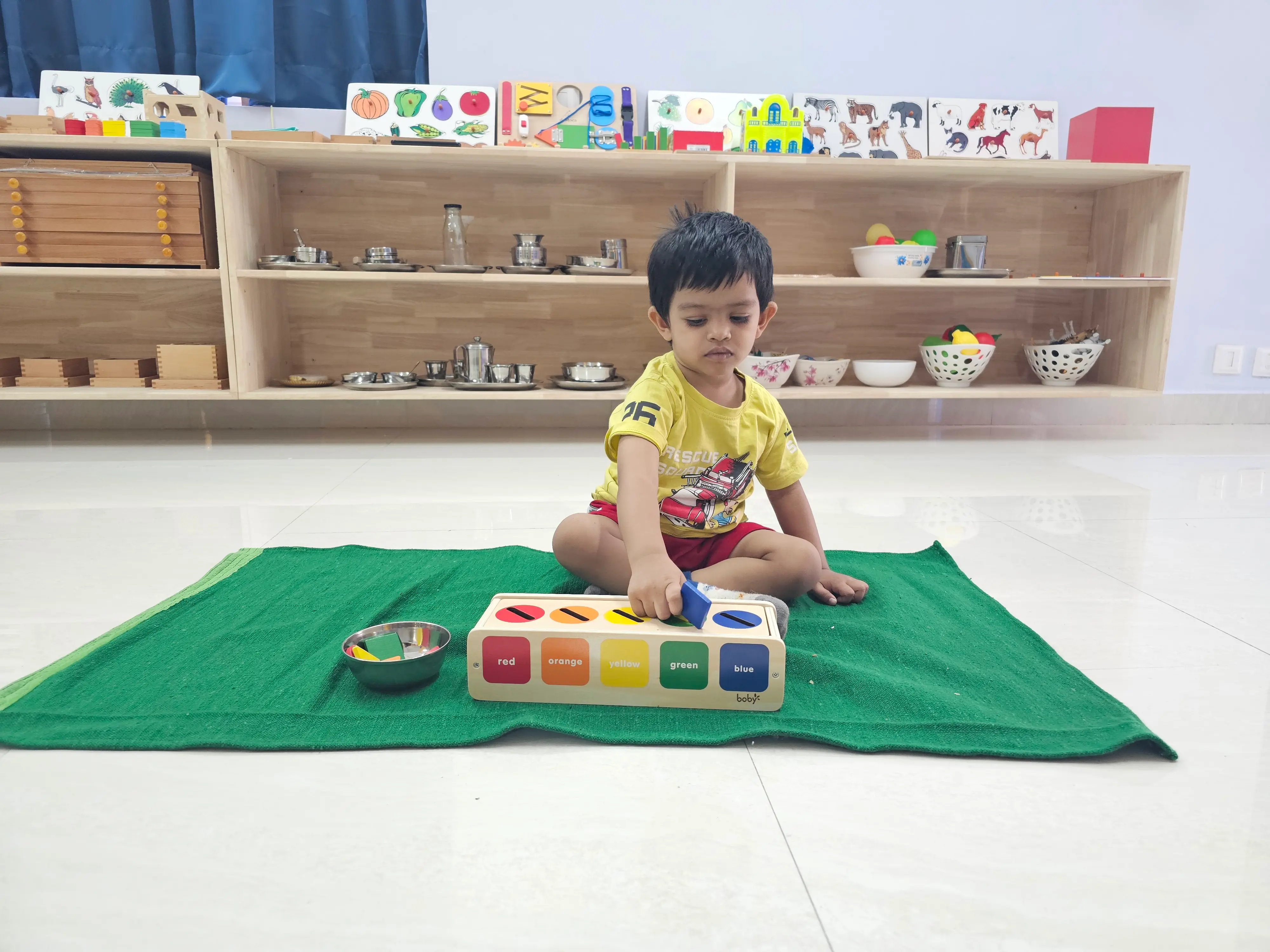 Brain Development