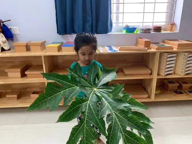 Aditi Montessori gallery photo 57