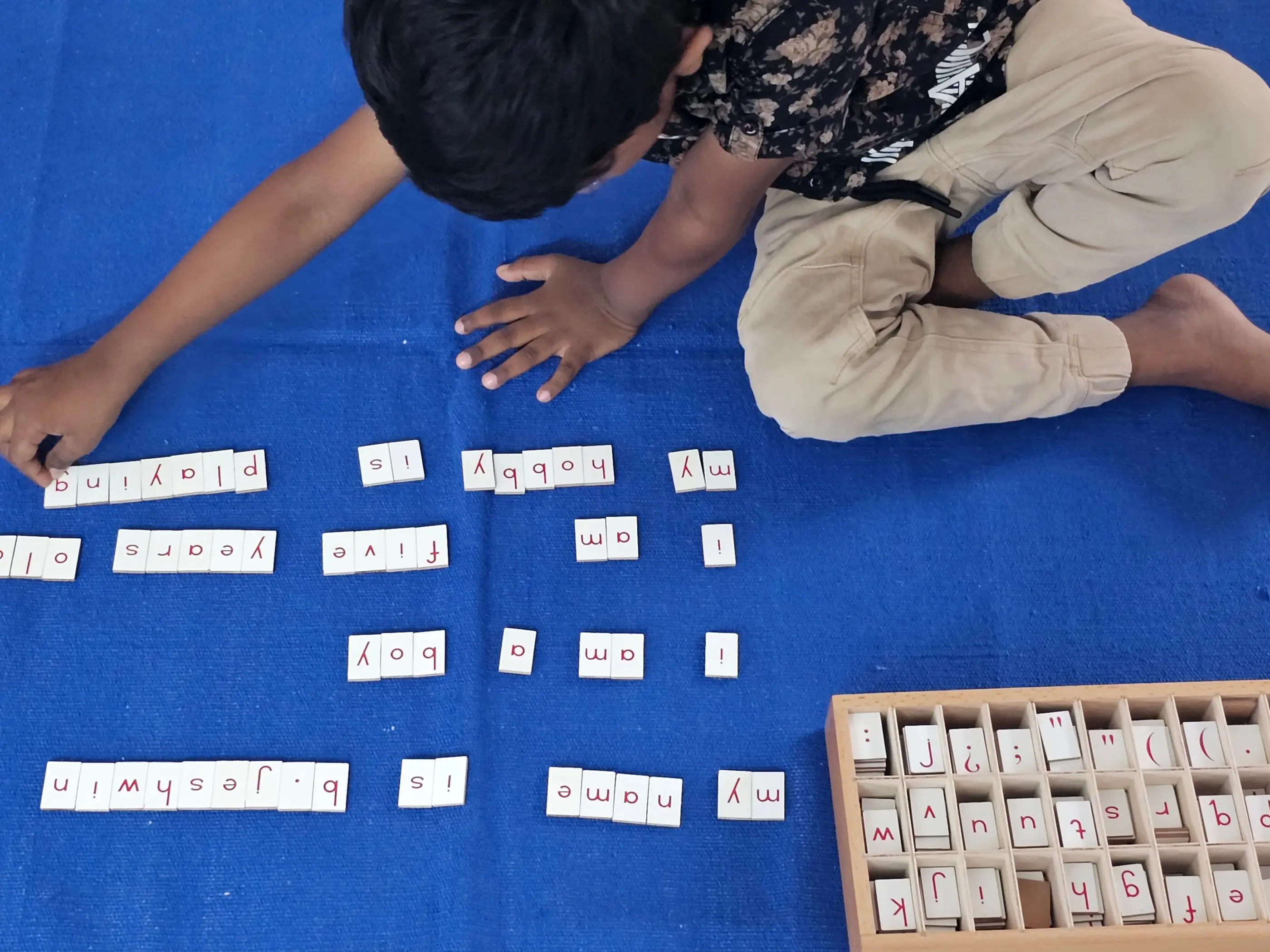 Language Development