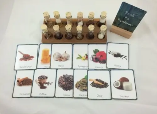 Olfactory Activities